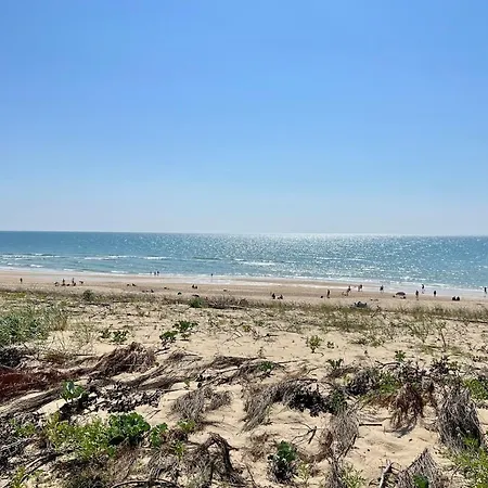 Maisonnette Cosy Dans Les Pins Proche Ocean Lacanau